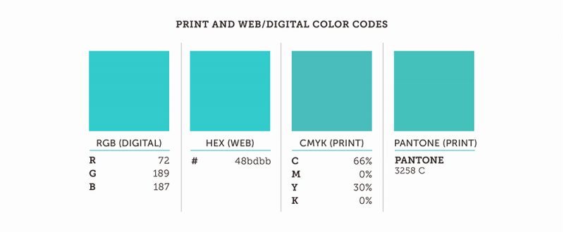 Design words - CYMK, RGB and HEX color swatches